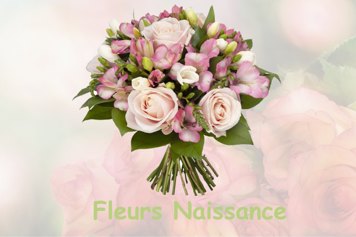 fleurs naissance SAINT-MARTIN-D-ONEY